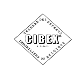 logo cibex