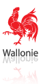 Région Wallonne - lien utile